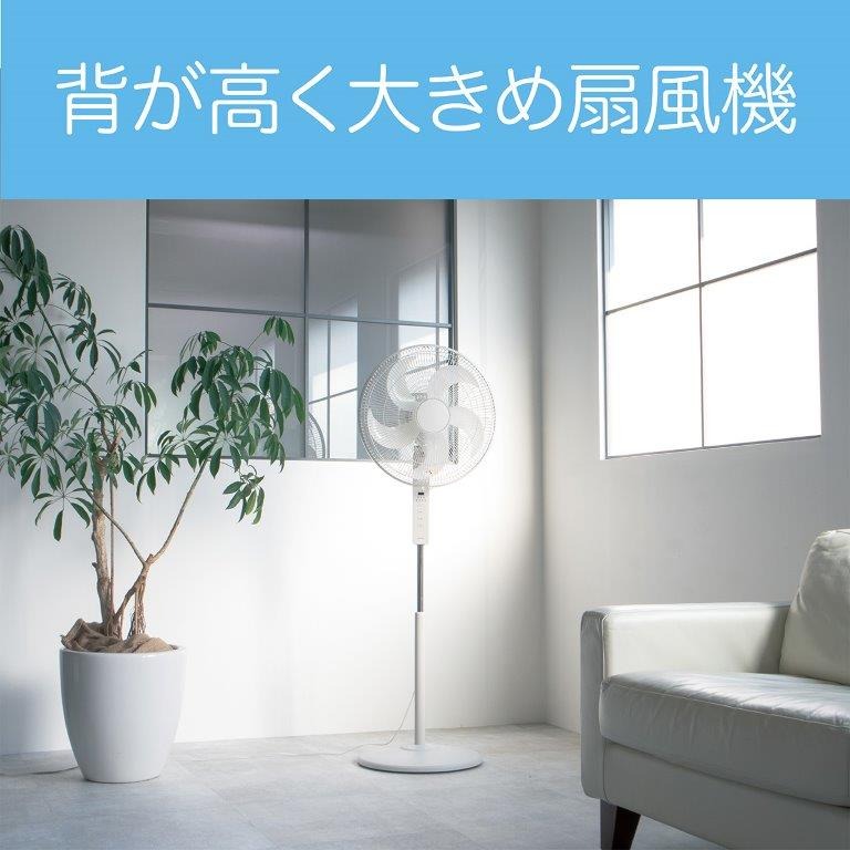 �w�������A�H���a��40cm�Ƒ傫�ڂ�����A�L����Ԃɂ�������