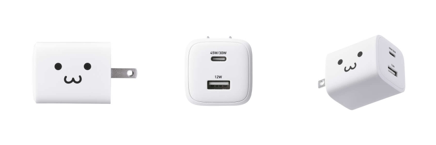 USB Type-C�|�[�g��USB-A�|�[�g�𓋍ڂ���AC�[�d��