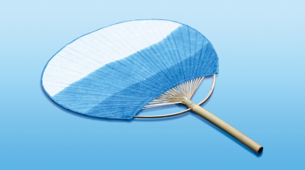 ������ł��������悤�Ȏ��R�ȕ����K���ʂ����핗