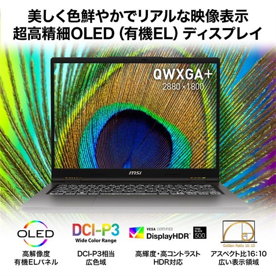 �����ƌ������悤�Ȕ������f���\��