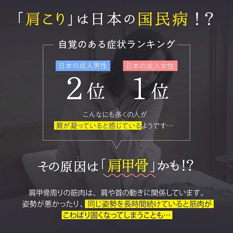 �u������v�͓��{�̍����a