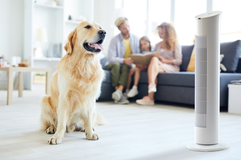 �}�b�g�h���̗p �������ɓ���݂₷���J���[