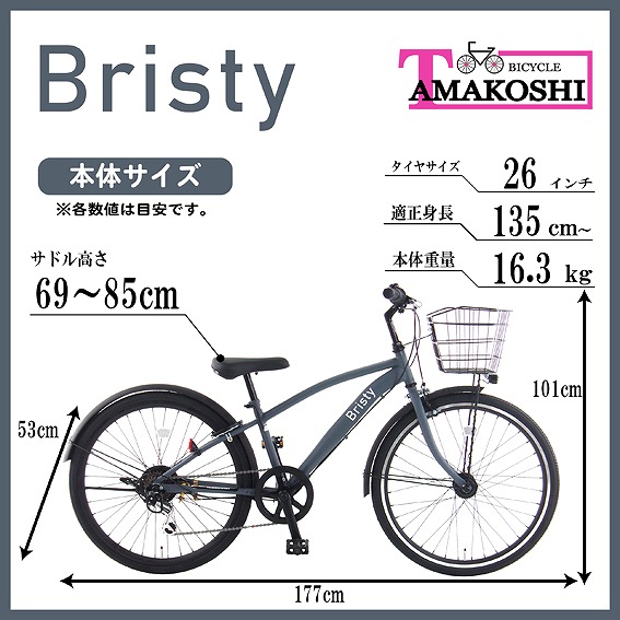 �y�{�̃T�C�Y�z