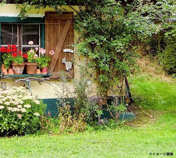 �ǂ��ł����l���������悭��[