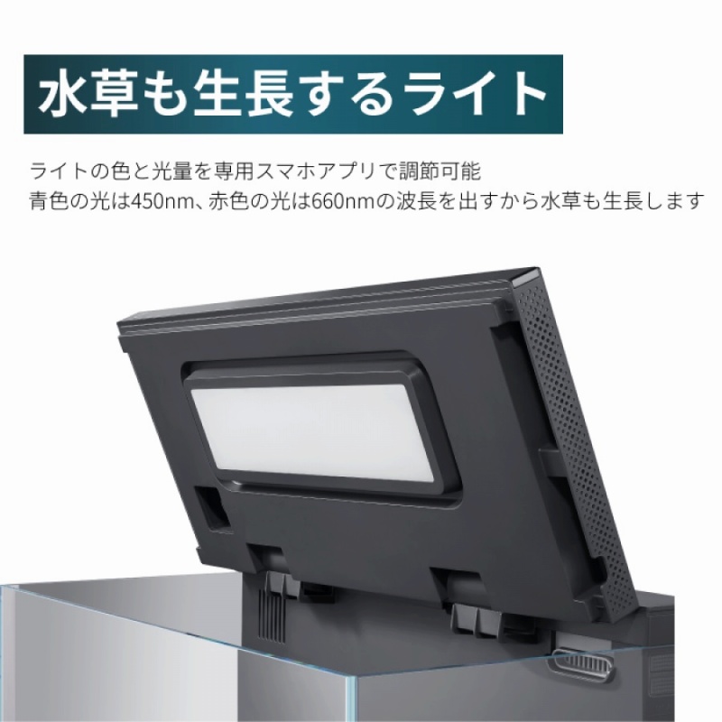 �������������郉�C�g