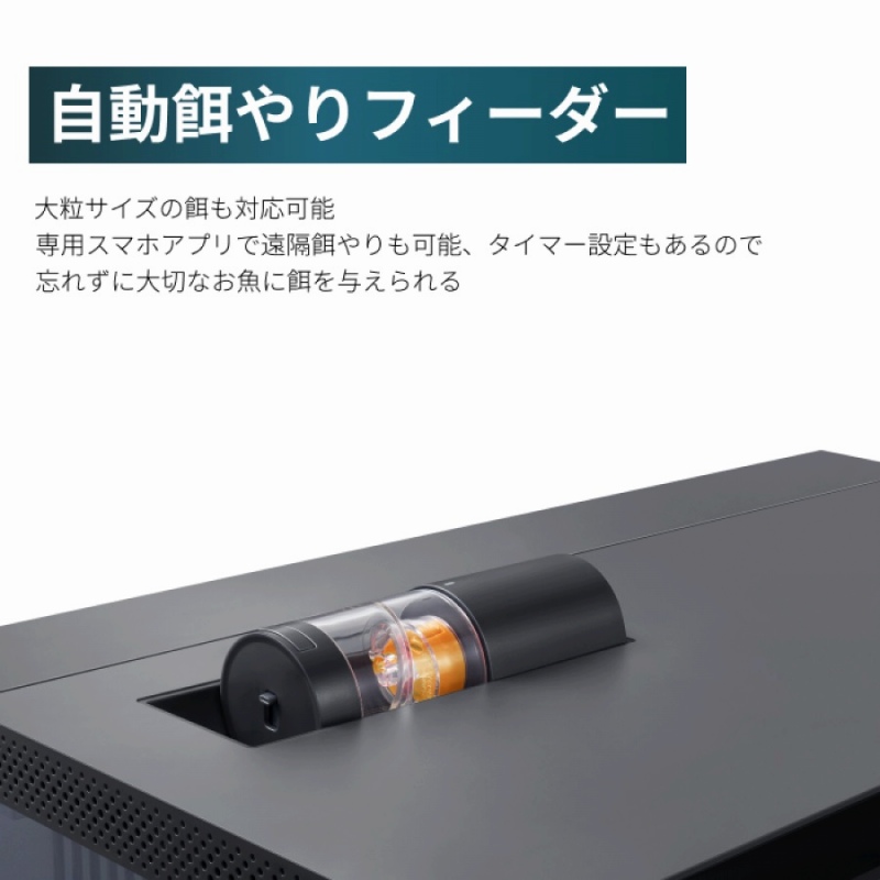 �����a���t�B�[�_�[