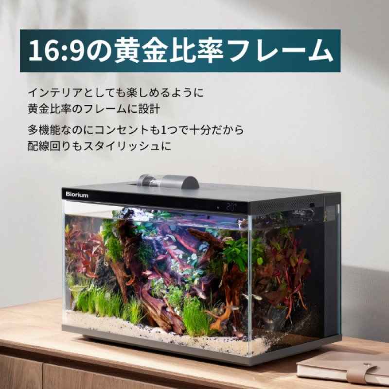 16:9�̉����䗦�t���[��