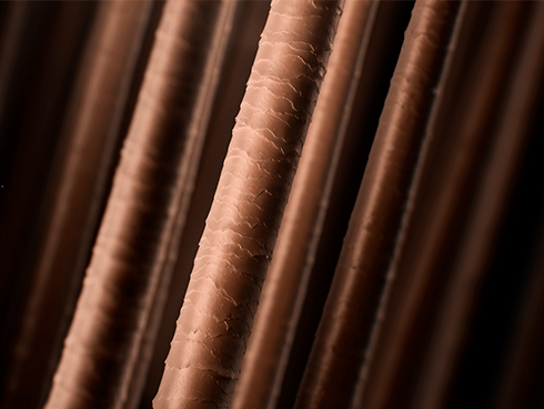 ���{���̋�����ۂ�