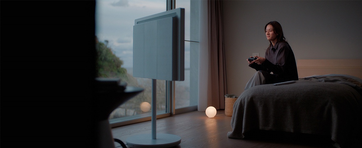 ���C�����X�ɂȂ���B�e���r�̎g�������L����B