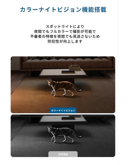 �J���[�i�C�g�r�W�����@�\����