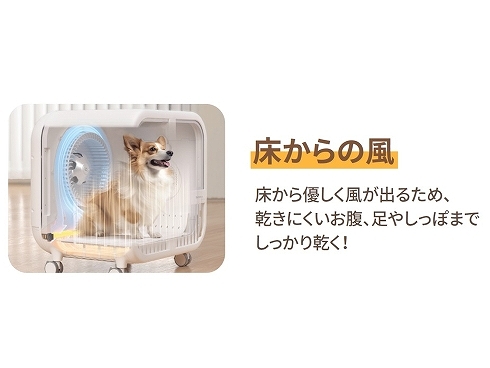 ������̕�