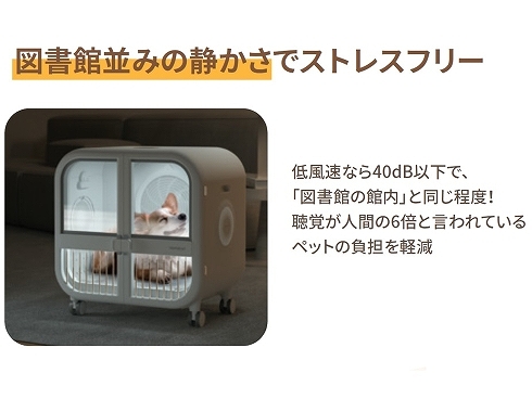 �ᑬ���Ȃ�}���ٕ��݂̐Â���