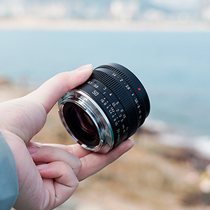 �y�ʂŎ�Ɏ��܂�T�C�Y��