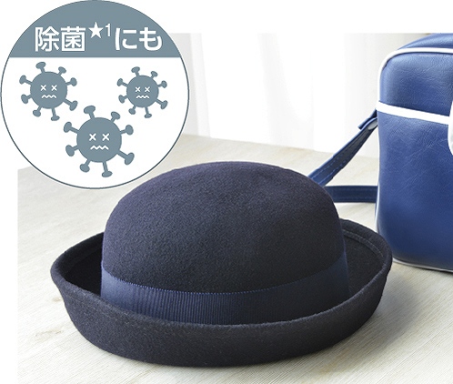 �����ɕۂ������ߗނ⏬�������ہB