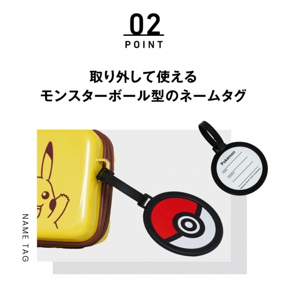 ���O���Ďg���郂���X�^�[�{�[���^�̃l�[���^�O