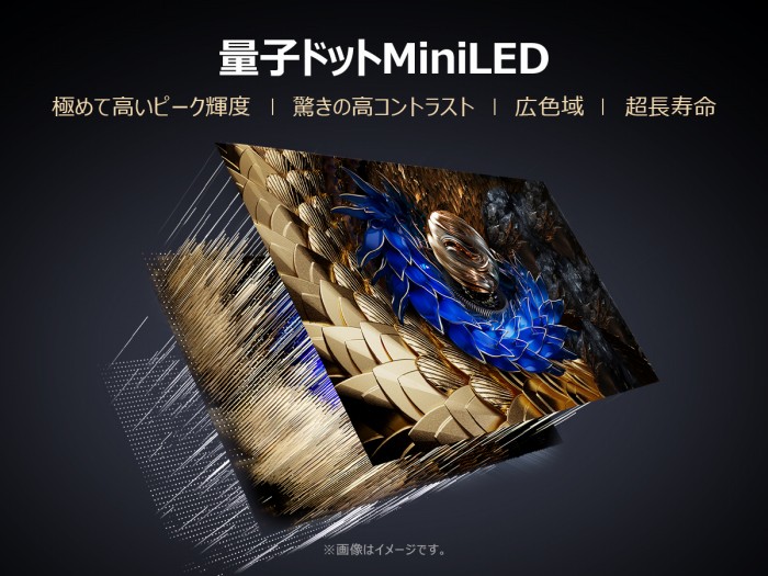 �ʎq�h�b�gMiniLED