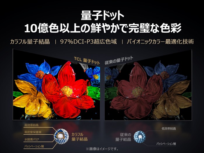 �ʎq�h�b�g�F10���F�ȏ�̑N�₩�Ŋ����ȐF��