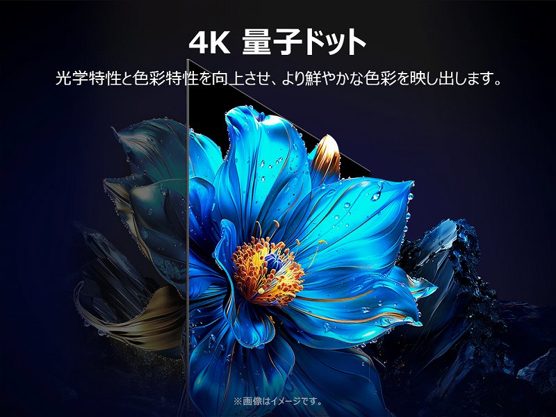 4K �ʎq�h�b�g