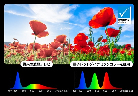 �ʎq�h�b�g�_�C�i�~�b�N�J���[