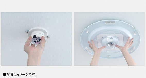 ���񂽂���t��