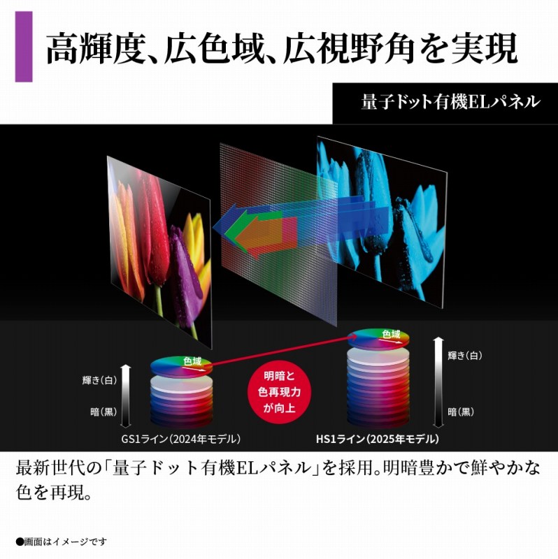 ���P�x�A�L�F��A�L����p������