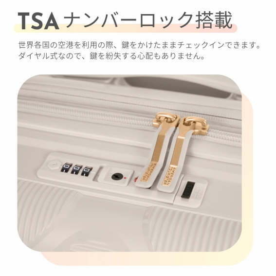 TSA�i���o�[���b�N����