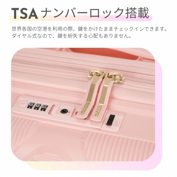 TSA�i���o�[���b�N����