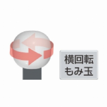 ���݋ʂ�����]���邱�Ƃ�