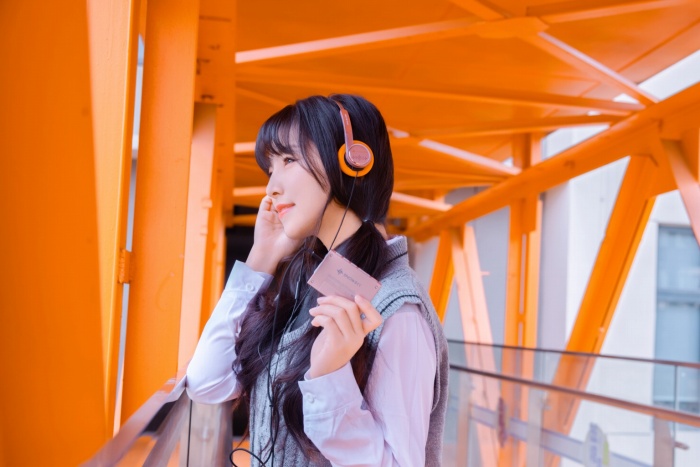 2�g�̃C���[�p�b�h��2�̑̌�