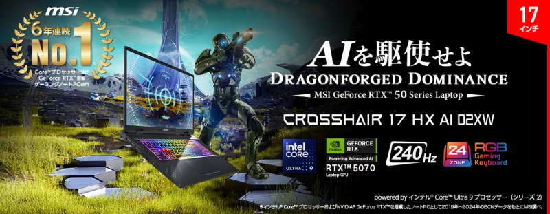 �y����p���[�ŏ�����ڎw���z