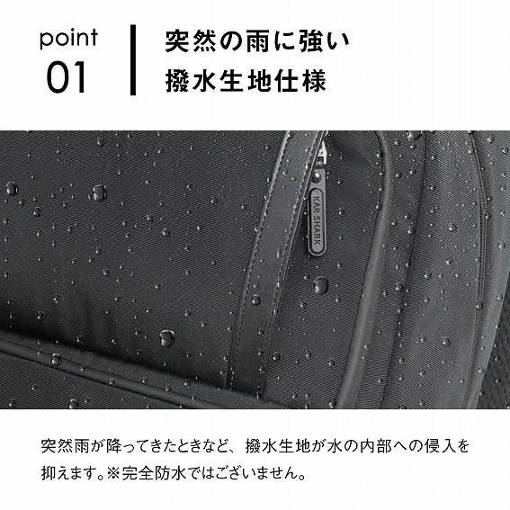 ���ˑR�̉J�ɋ����������n�d�l