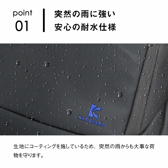 �ˑR�̉J�ɋ������S�̑ϐ��d�l