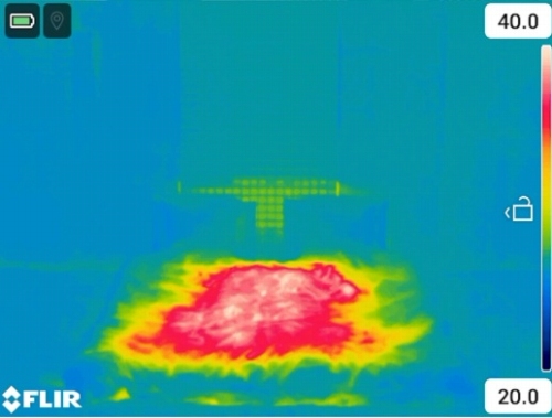 ���E�ŏ����Ȃ̂Ƀp���t���ȗ��R