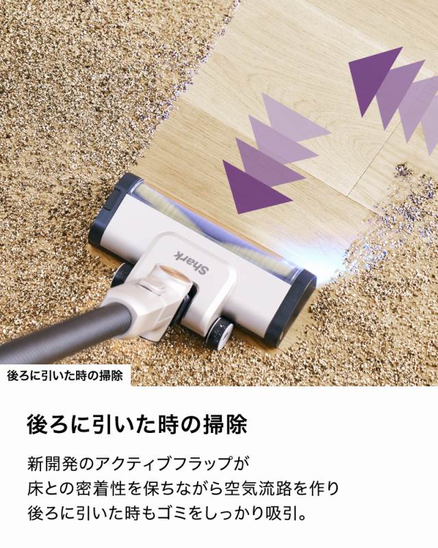 ���Ɉ��������̑|��