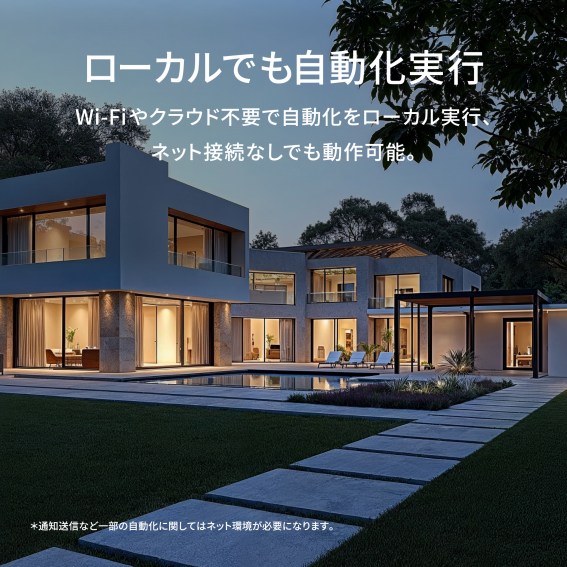 ���[�J���ł����������s