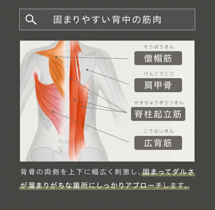 �ł܂�₷���w���̋ؓ�