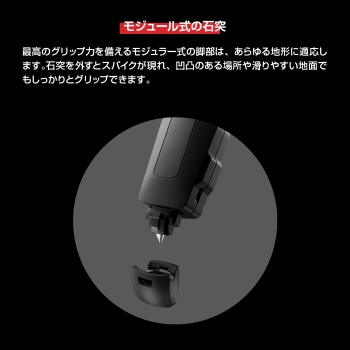 �����W���[�����̐Γ�