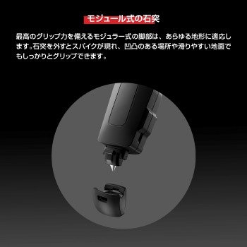 �����W���[�����̐Γ�