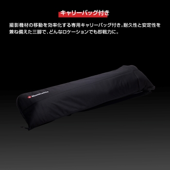 ����p�L�����[�o�b�O�t��