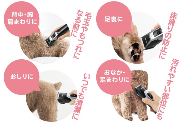 �g���~���O�Ō��N�ێ����T�|�[�g