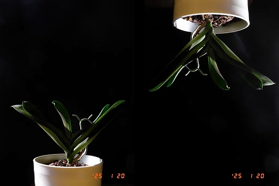 ���t����B�e