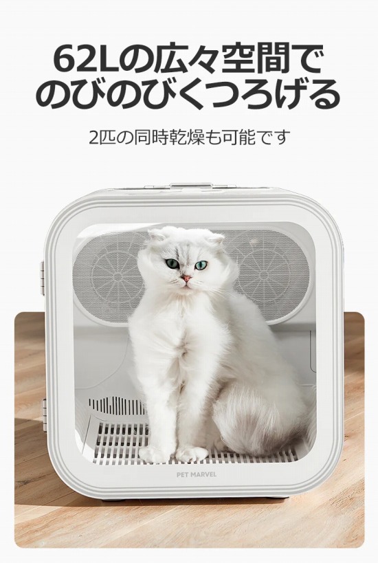 62L�̍L�X��Ԃł̂т̂т��낰��