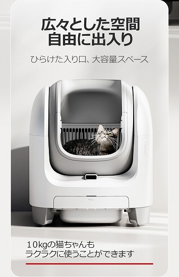 �L�X�Ƃ�����ԁ@���R�ɏo����ł��܂�!!