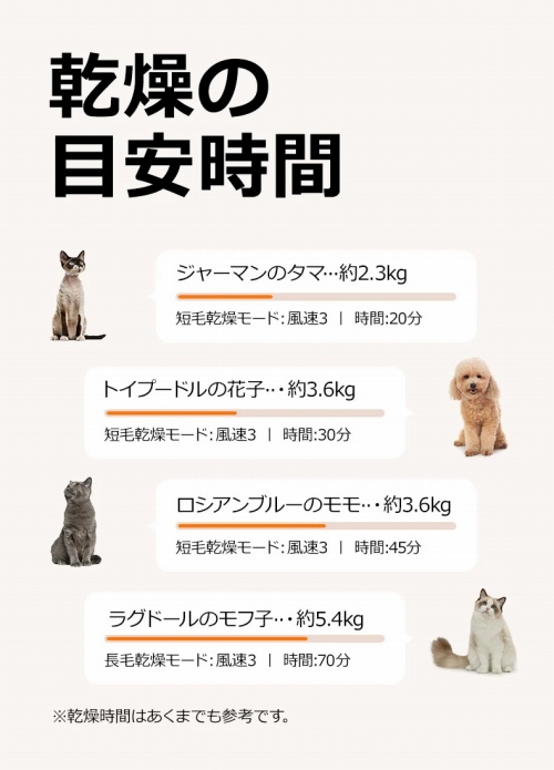 �����̖ڈ�����