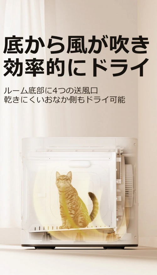 �ꂩ�畗�������A�����I�Ƀh���C