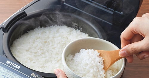 ���͂�̒e�͂������o���|�ݗ��������уv���O����