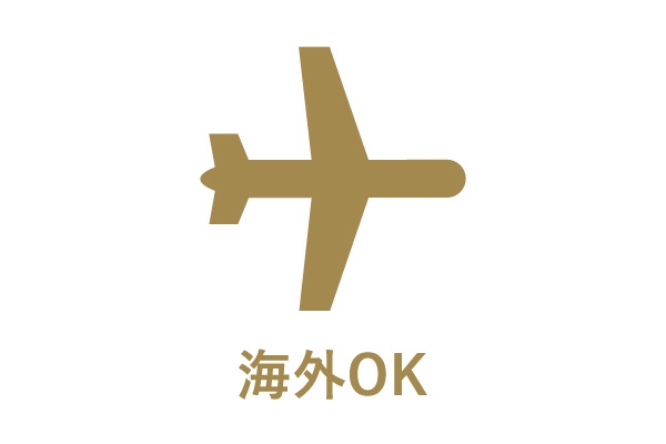 �C�O�g�pOK