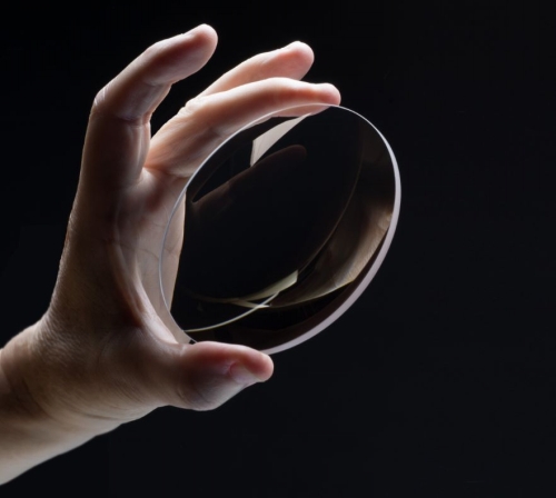 �Ε������Y��XD�����Y���̗p