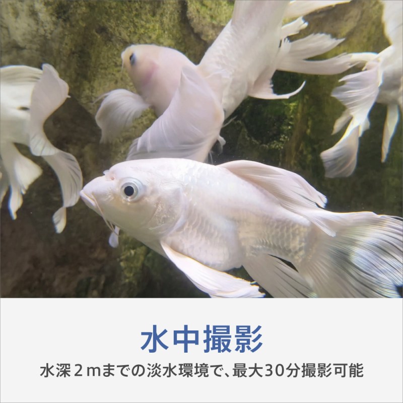 �����B�e