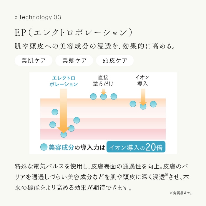 ���⓪��ւ̔��e�����̐Z�������ʓI�ɍ��߂�